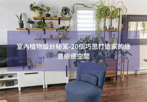 家中擺放植物|室內植物設計秘笈